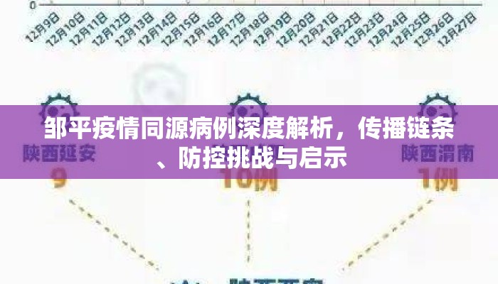 邹平疫情同源病例深度解析，传播链条、防控挑战与启示