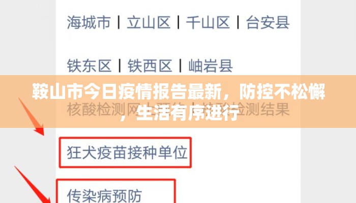 鞍山市今日疫情报告最新，防控不松懈，生活有序进行