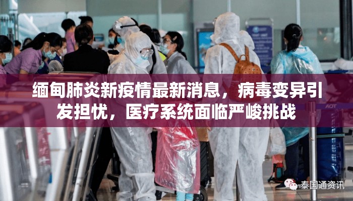 缅甸肺炎新疫情最新消息，病毒变异引发担忧，医疗系统面临严峻挑战
