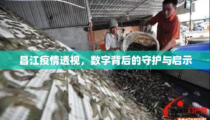 昌江疫情透视，数字背后的守护与启示