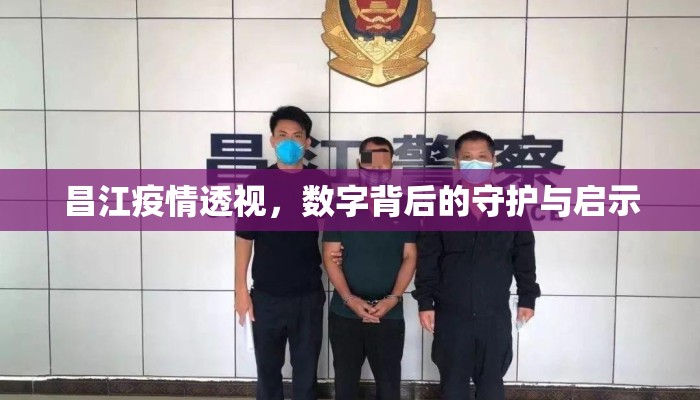 昌江疫情透视，数字背后的守护与启示