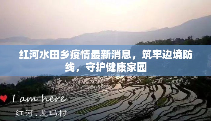 红河水田乡疫情最新消息，筑牢边境防线，守护健康家园