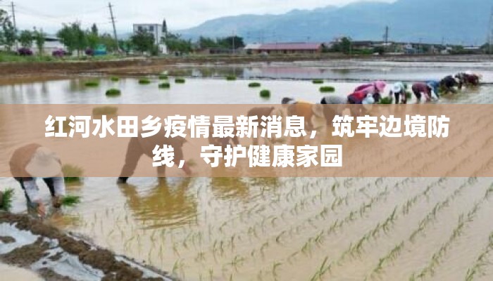 红河水田乡疫情最新消息，筑牢边境防线，守护健康家园
