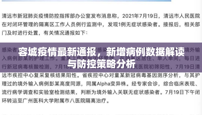 容城疫情最新通报，新增病例数据解读与防控策略分析