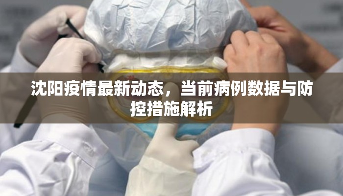 沈阳疫情最新动态，当前病例数据与防控措施解析