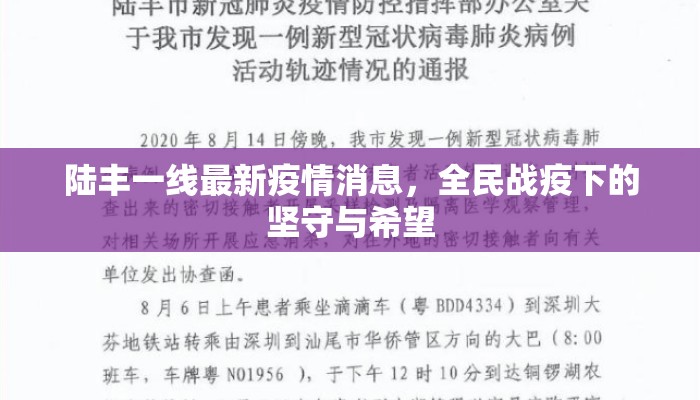 陆丰一线最新疫情消息，全民战疫下的坚守与希望