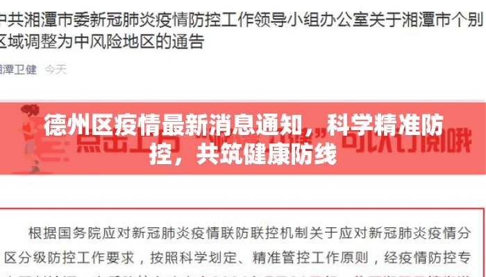 德州区疫情最新消息通知，科学精准防控，共筑健康防线