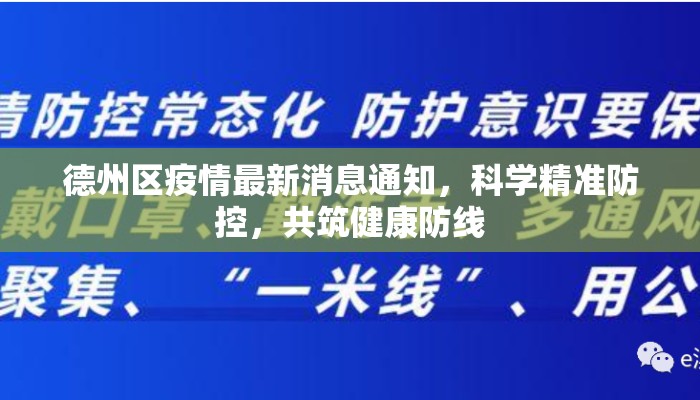 德州区疫情最新消息通知，科学精准防控，共筑健康防线