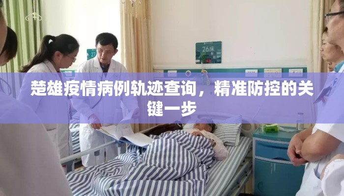 楚雄疫情病例轨迹查询，精准防控的关键一步