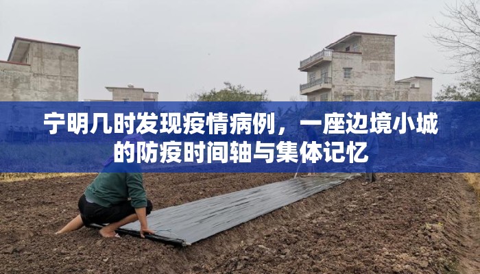 宁明几时发现疫情病例，一座边境小城的防疫时间轴与集体记忆