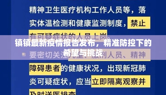 镇镇最新疫情报告发布，精准防控下的希望与挑战