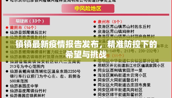 镇镇最新疫情报告发布，精准防控下的希望与挑战
