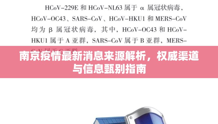 南京疫情最新消息来源解析，权威渠道与信息甄别指南