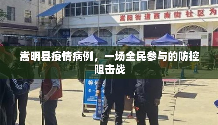 嵩明县疫情病例，一场全民参与的防控阻击战