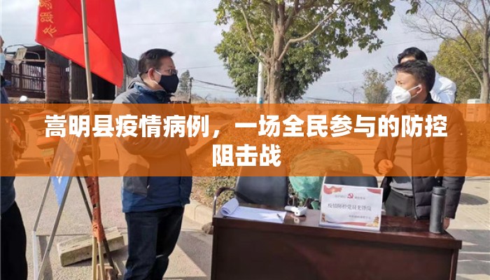 嵩明县疫情病例，一场全民参与的防控阻击战