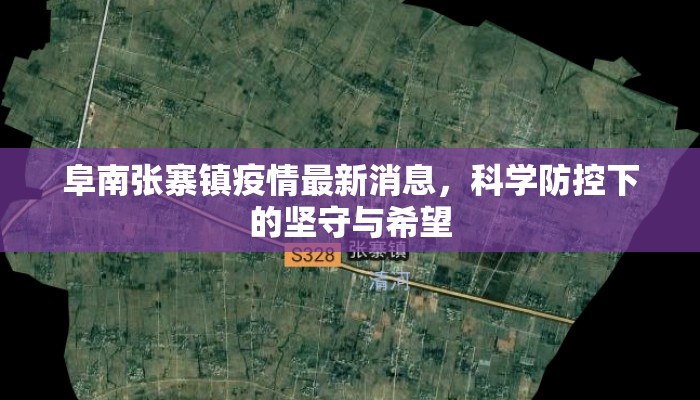 阜南张寨镇疫情最新消息，科学防控下的坚守与希望