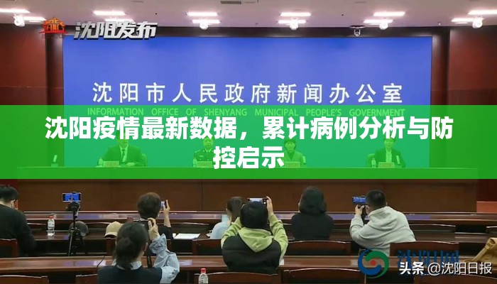 沈阳疫情最新数据，累计病例分析与防控启示