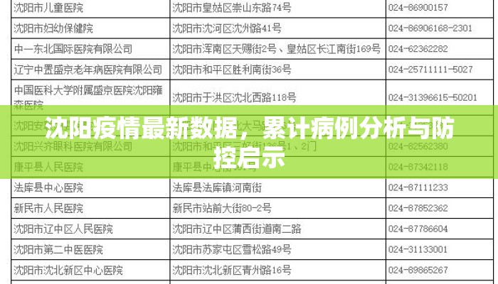 沈阳疫情最新数据，累计病例分析与防控启示