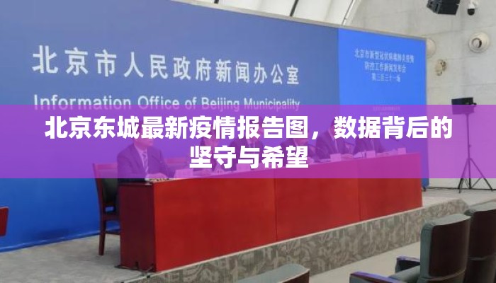 北京东城最新疫情报告图，数据背后的坚守与希望