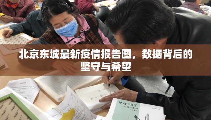 北京东城最新疫情报告图，数据背后的坚守与希望