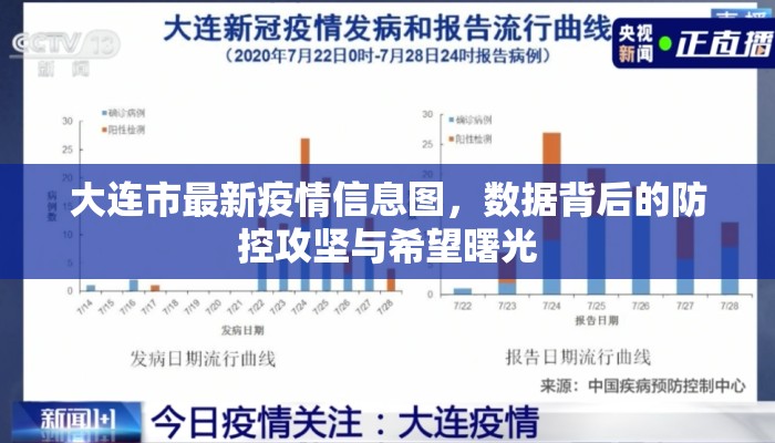 大连市最新疫情信息图，数据背后的防控攻坚与希望曙光