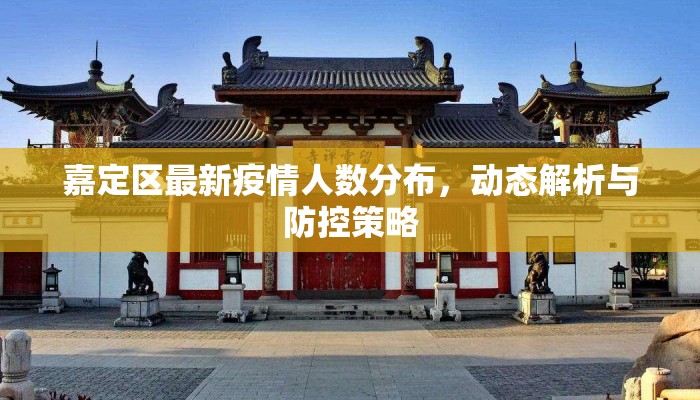 嘉定区最新疫情人数分布，动态解析与防控策略