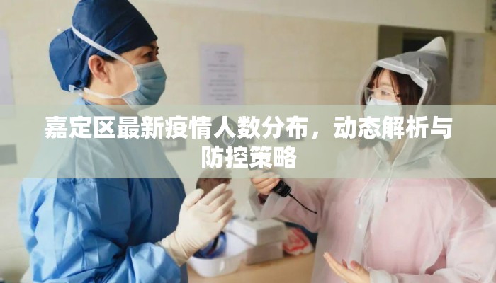 嘉定区最新疫情人数分布，动态解析与防控策略