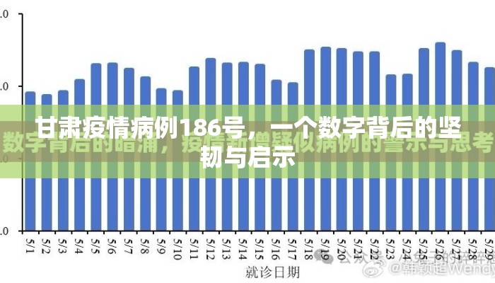 甘肃疫情病例186号，一个数字背后的坚韧与启示