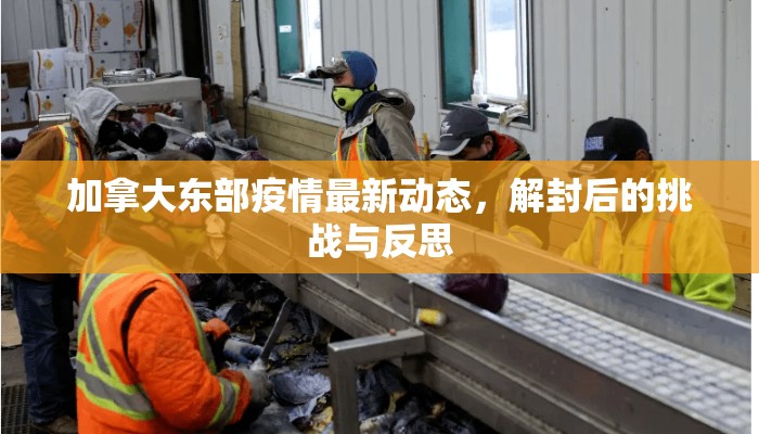 加拿大东部疫情最新动态，解封后的挑战与反思