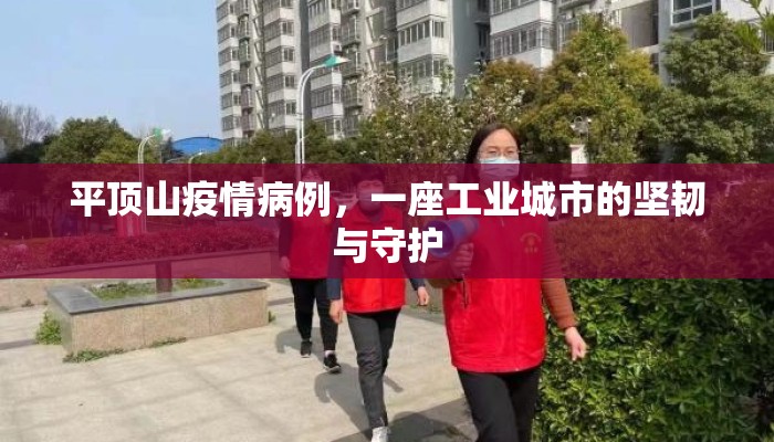 平顶山疫情病例，一座工业城市的坚韧与守护