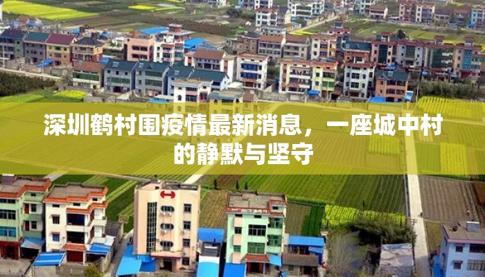 深圳鹤村围疫情最新消息，一座城中村的静默与坚守