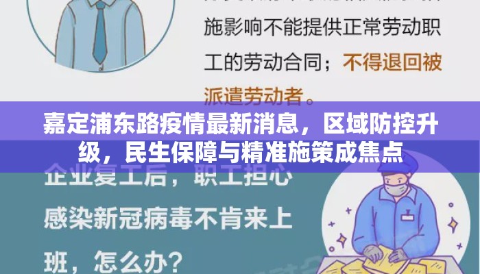 嘉定浦东路疫情最新消息，区域防控升级，民生保障与精准施策成焦点