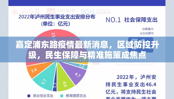嘉定浦东路疫情最新消息，区域防控升级，民生保障与精准施策成焦点