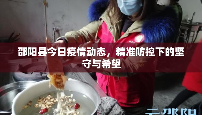 邵阳县今日疫情动态，精准防控下的坚守与希望
