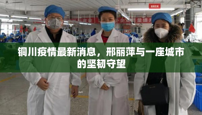 铜川疫情最新消息，邢丽萍与一座城市的坚韧守望