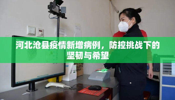 河北沧县疫情新增病例，防控挑战下的坚韧与希望