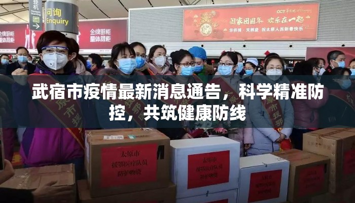 武宿市疫情最新消息通告，科学精准防控，共筑健康防线