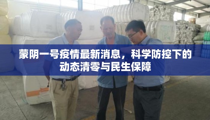 蒙阴一号疫情最新消息，科学防控下的动态清零与民生保障