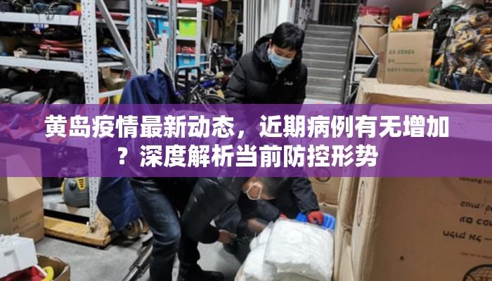 黄岛疫情最新动态，近期病例有无增加？深度解析当前防控形势
