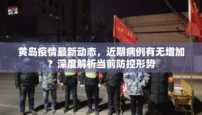 黄岛疫情最新动态，近期病例有无增加？深度解析当前防控形势