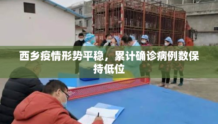 西乡疫情形势平稳，累计确诊病例数保持低位