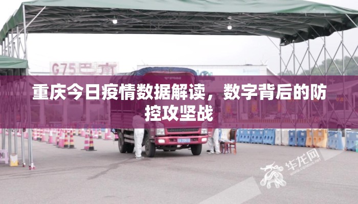 重庆今日疫情数据解读，数字背后的防控攻坚战