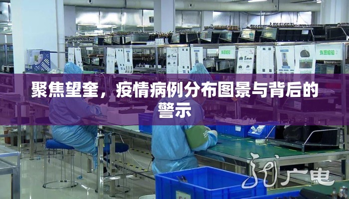 聚焦望奎，疫情病例分布图景与背后的警示