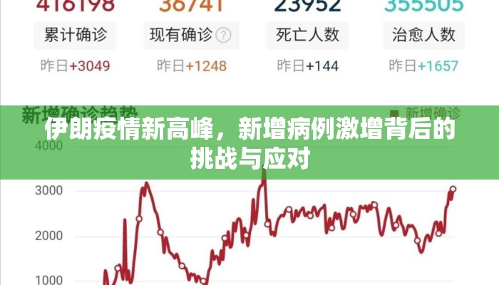 伊朗疫情新高峰，新增病例激增背后的挑战与应对