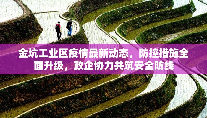 金坑工业区疫情最新动态，防控措施全面升级，政企协力共筑安全防线