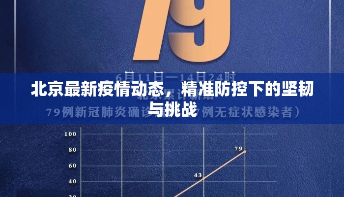 北京最新疫情动态，精准防控下的坚韧与挑战