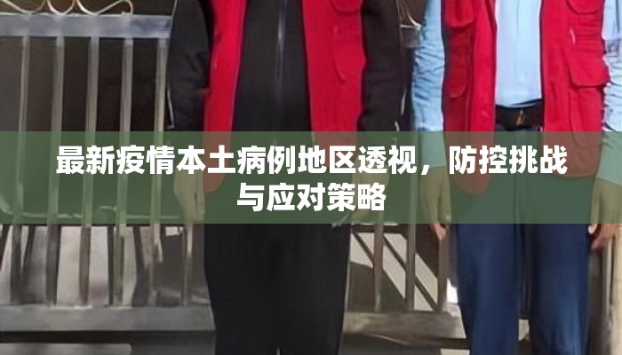 最新疫情本土病例地区透视，防控挑战与应对策略
