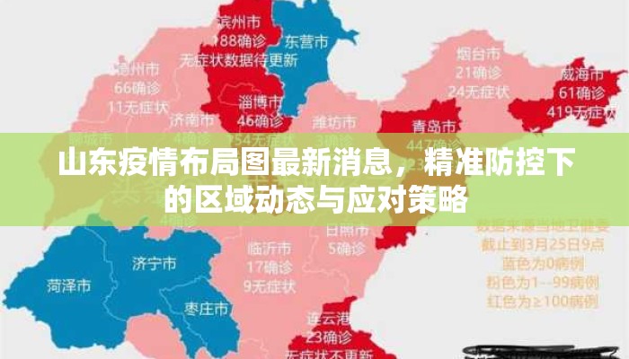 山东疫情布局图最新消息，精准防控下的区域动态与应对策略