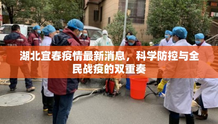 湖北宜春疫情最新消息，科学防控与全民战疫的双重奏