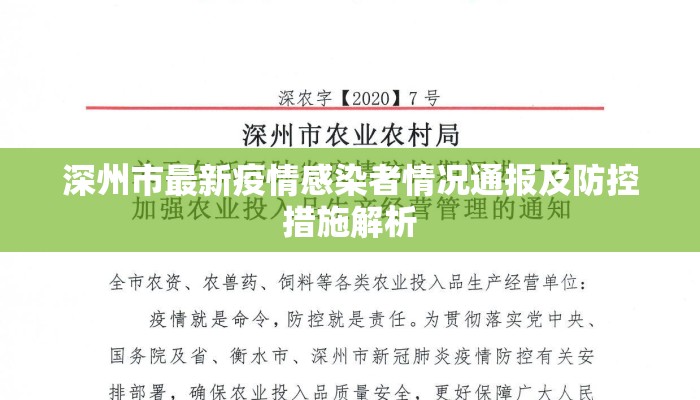 深州市最新疫情感染者情况通报及防控措施解析